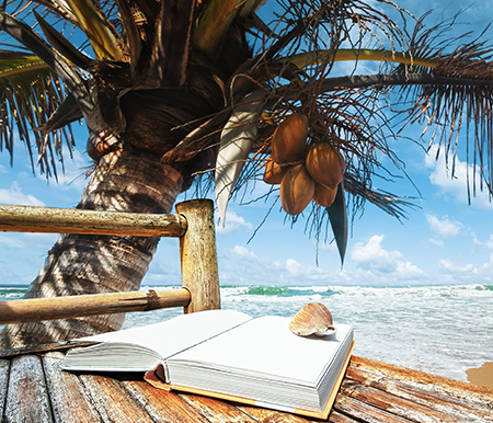 Beach Reading in Palmetto Bay, FL